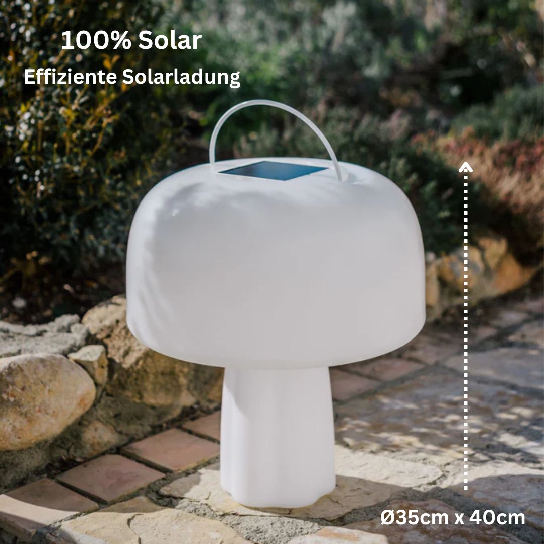 The BOLETI lamp 100% solar