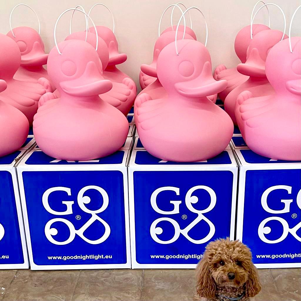 DUCK-DUCK lamp XL (51x53cm) - kabellose Schwimmleuchte