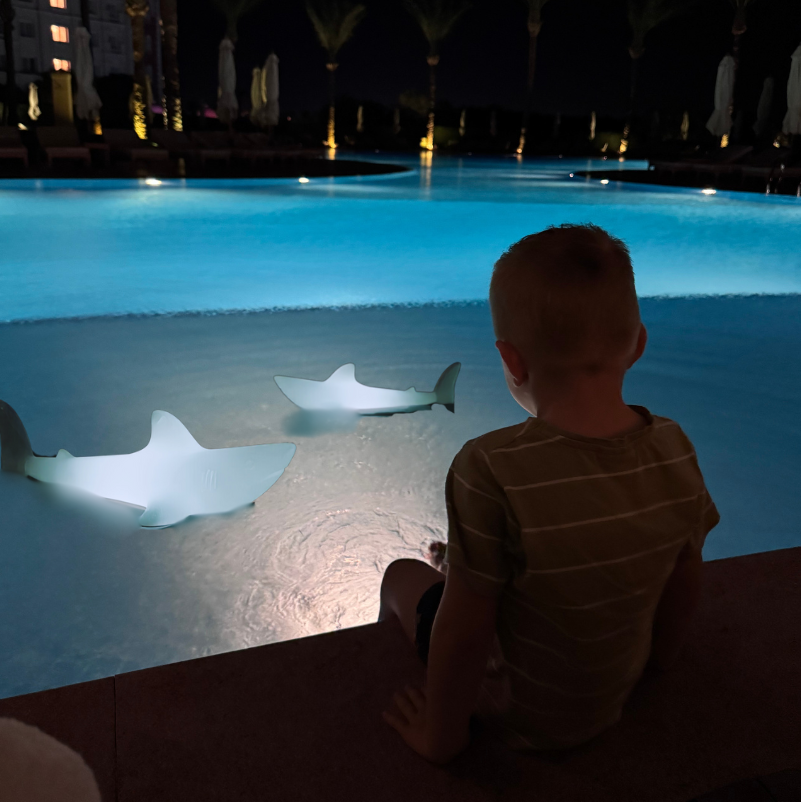 BOBB - the shark lamp - das Original