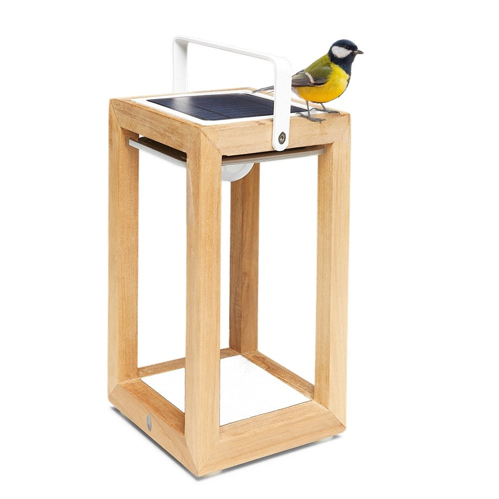 SUNS Tom S Teakholz-Solar-Hybridleuchte