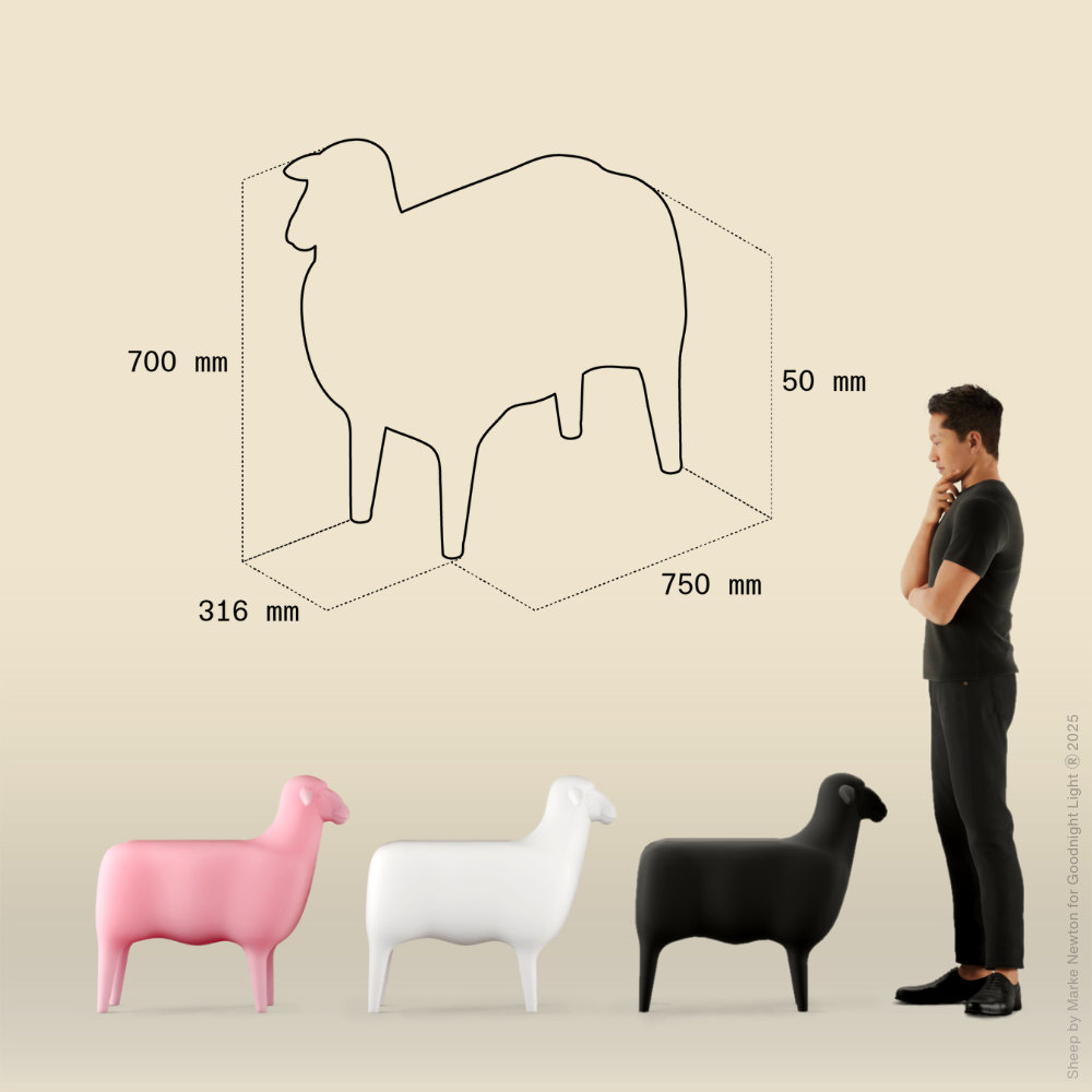 THE SHEEP - NEU! - ab Frühling 2026 -