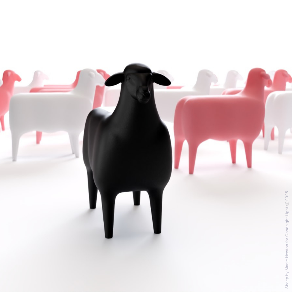 THE SHEEP - NEU! - ab Frühling 2026 -