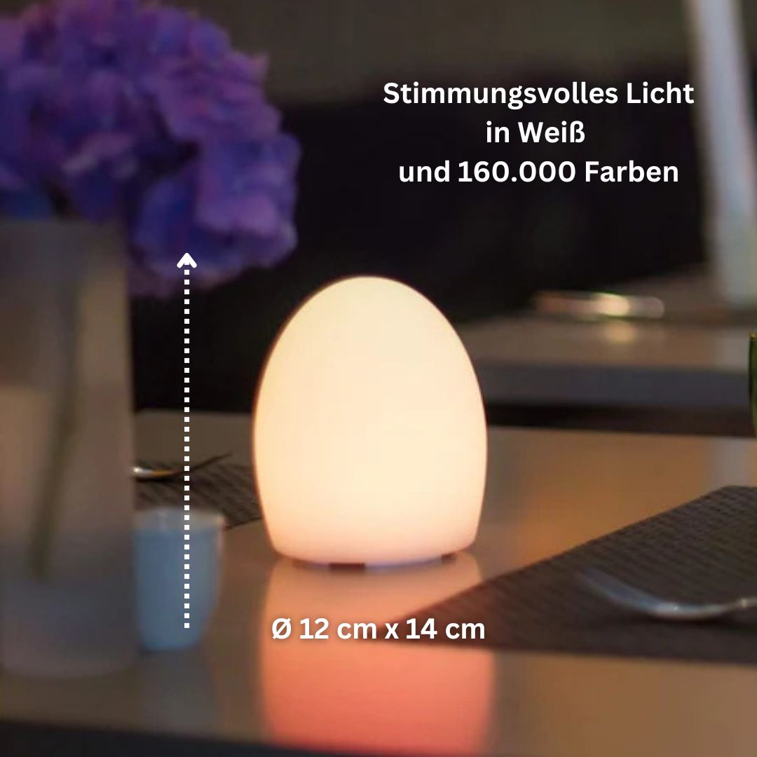 POINT 9er Set Akku-LED Tischleuchten mit APP Steuerung + Komfortladestation