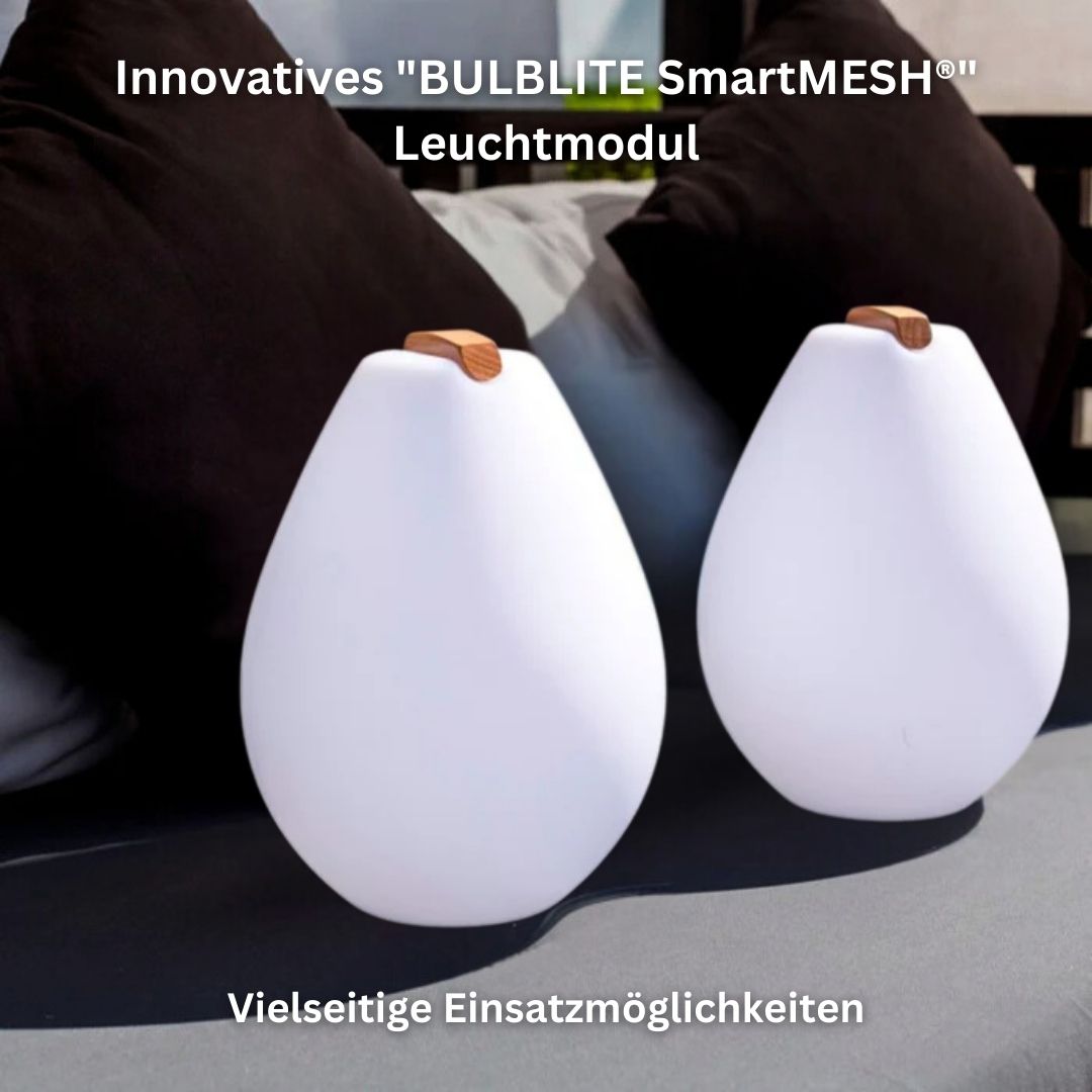 VESSEL 2s kabellose LED Designleuchte mit Holzgriff und APP Steuerung von Smart and Green
