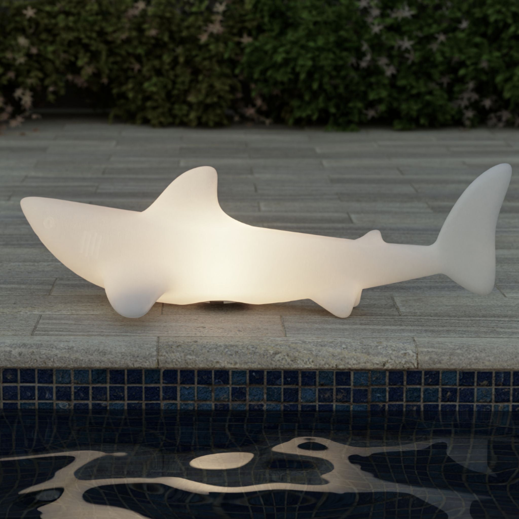 BOBB - the shark lamp