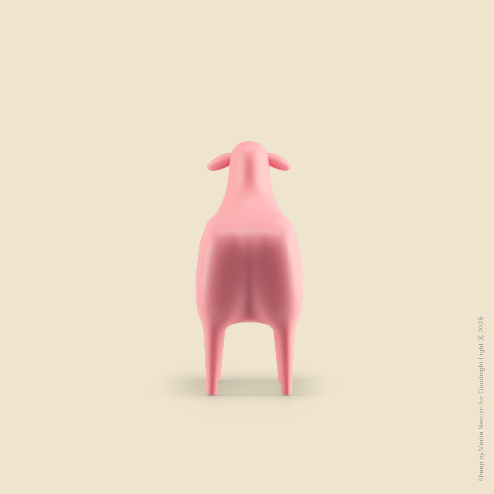 THE SHEEP - NEU! - ab Frühling 2026 -