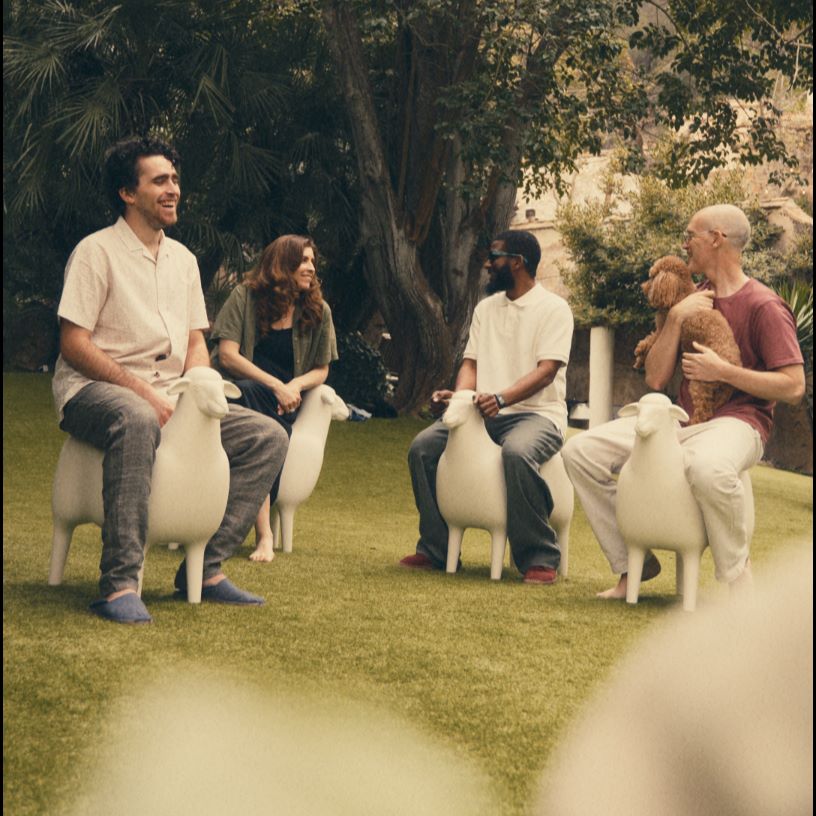 THE SHEEP - NEU!