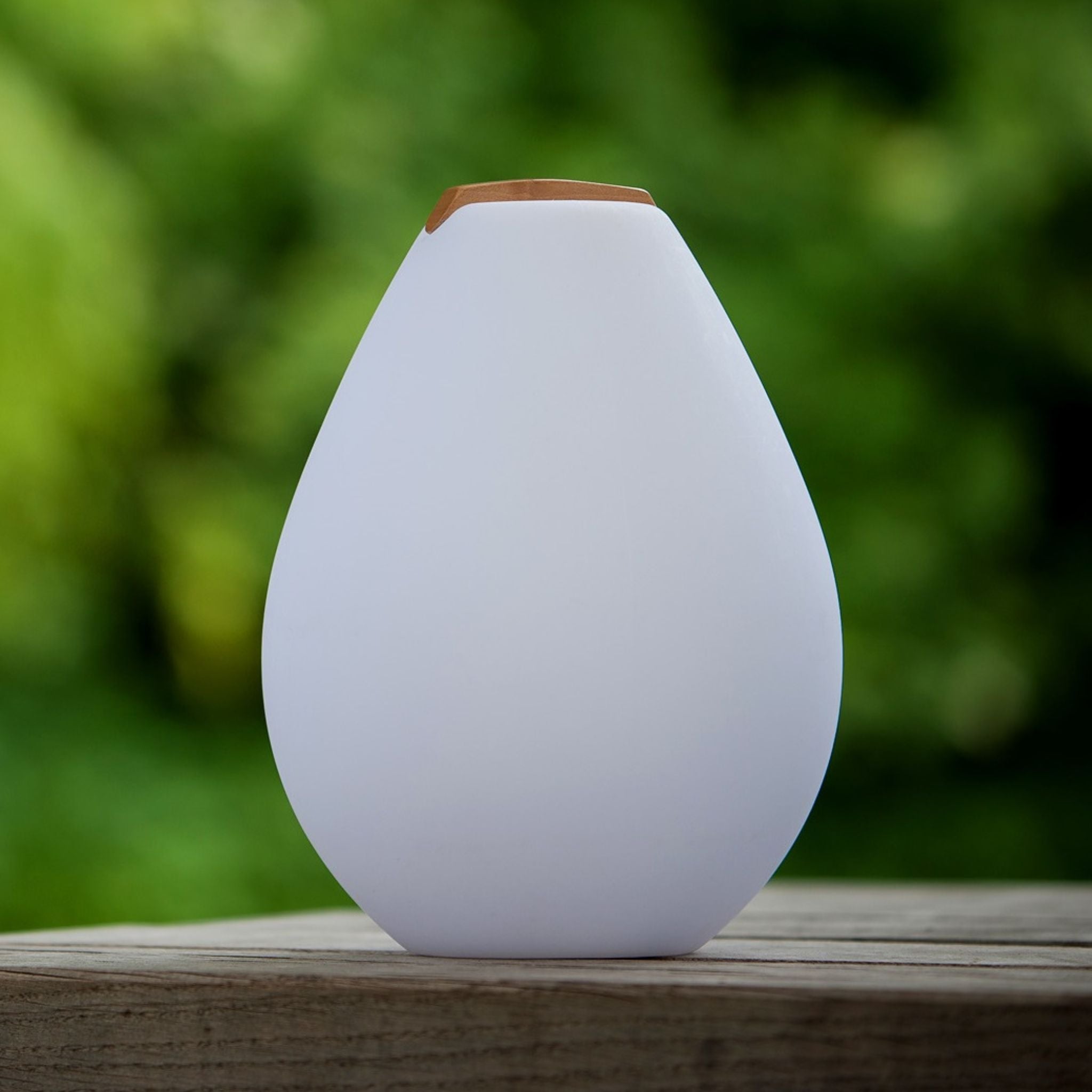VESSEL2S, wireless light with wooden handle "App-control