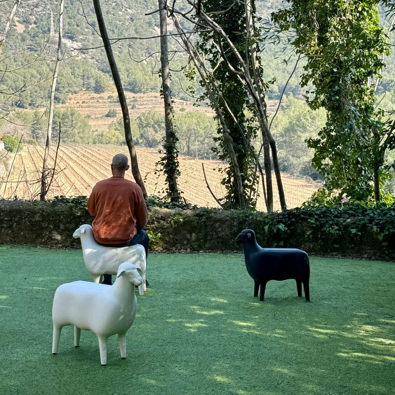 THE SHEEP - NEU! - ab April 26